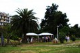 /album/green-party-2013/img-1919-jpg1/